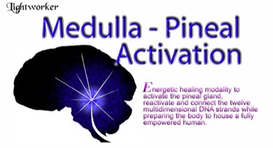 pineal activation